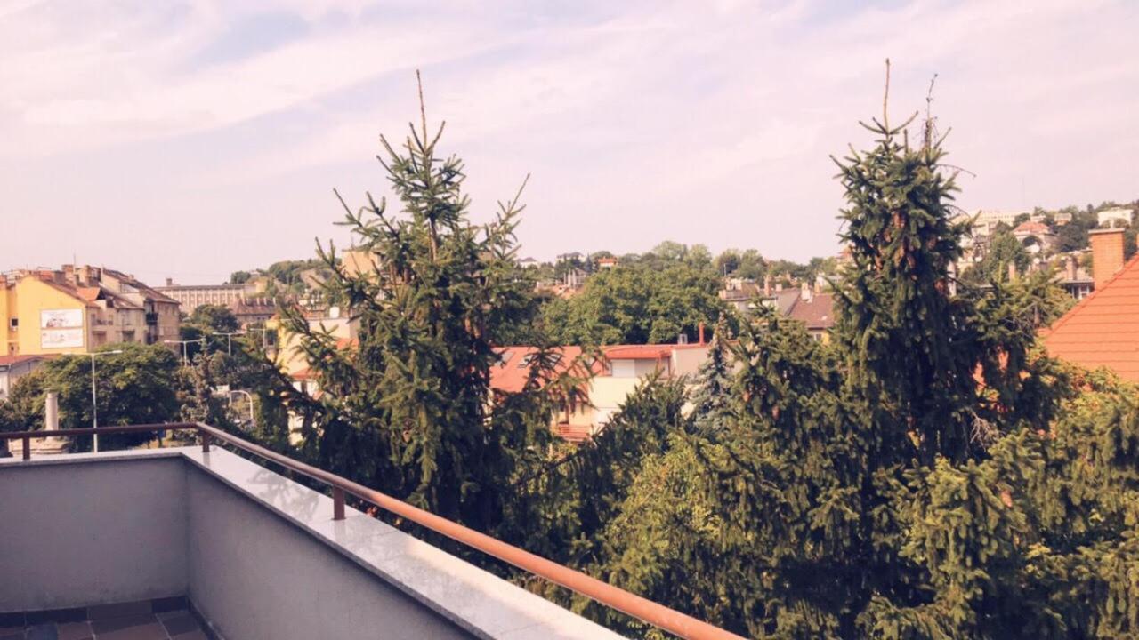 Carolina Apartament *